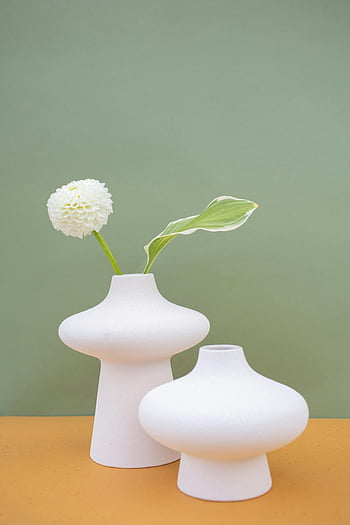 moderne Dekoration, Blume, Vasen, Minimalistisches Stillleben, weiße Keramikvasen, Dahlie, grüner Hintergrund, zeitgemäßes Dekor, einfaches Design, Blumengesteck, Wohnkultur