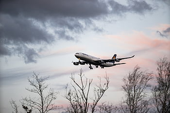 letadlo, letoun, létající, letiště, cestovat, letectví, prázdnin, osobní letadla, let, cestovní ruch, lufthansa