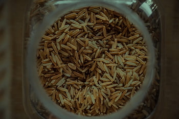 cereali, cibo, Grano, agricoltura, prima colazione, orzo, cereale, campo, salutare, pane, dieta