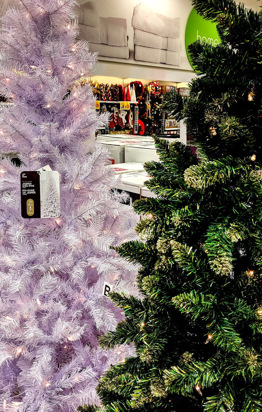 Christmas trees, holiday decorations, store display, white tree, green tree, festive lights, holiday shopping, artificial trees, price tag, holiday season, home decor