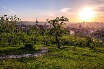 prague, europe, cityscape, park, summer, rays, sunrise, building, castle, cathedral, church