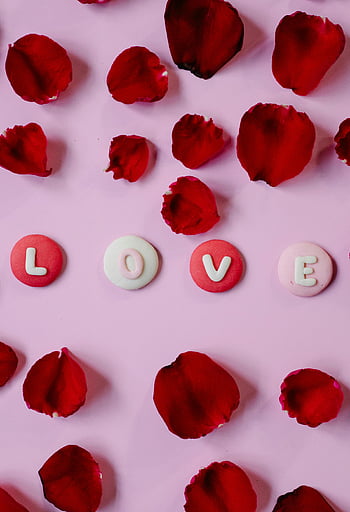 Love inscription, rose petals, flat lay, Valentine's themes, pink background, red rose, romantic photo, love word, valentine's day, romantic flat lay, love and roses