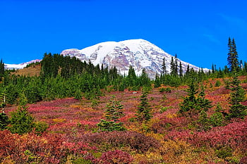 bjerge, kaskade, træer, mt regnere, efterår, natur, landskab, kaskade bjerge, mt, Rainier