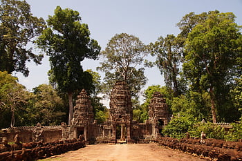 cambodia, angkor, temple, jungle, asia, ruin, old, tourism, wat, buddhism, travel