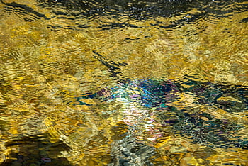 fountain, basic, watercourse, flow, golden, glitter, reflection, mainau Island, lake Constance