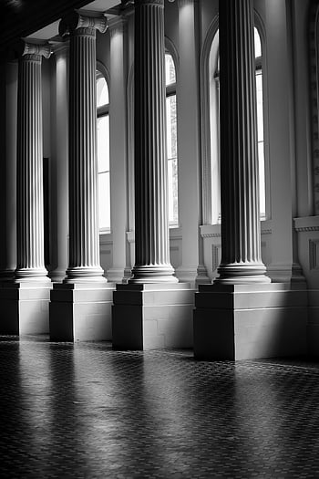 building, columns, architechture, interior, design, monochrome, library, school, reading, read, education