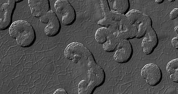 Mars, NASA, JPL, MRO, HiRISE, University of Arizona, science, astronomy, landscape, geology, South Polar Residual Cap