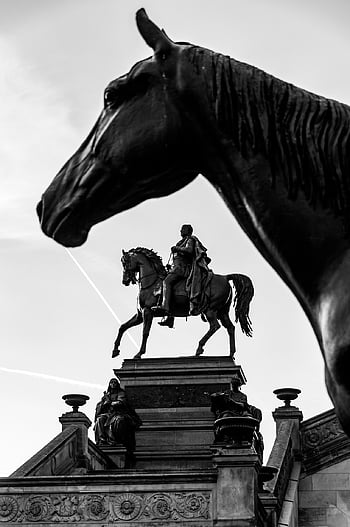 socha, sochařství, kůň, Příroda, jezdecký, muzeum, památník, umění