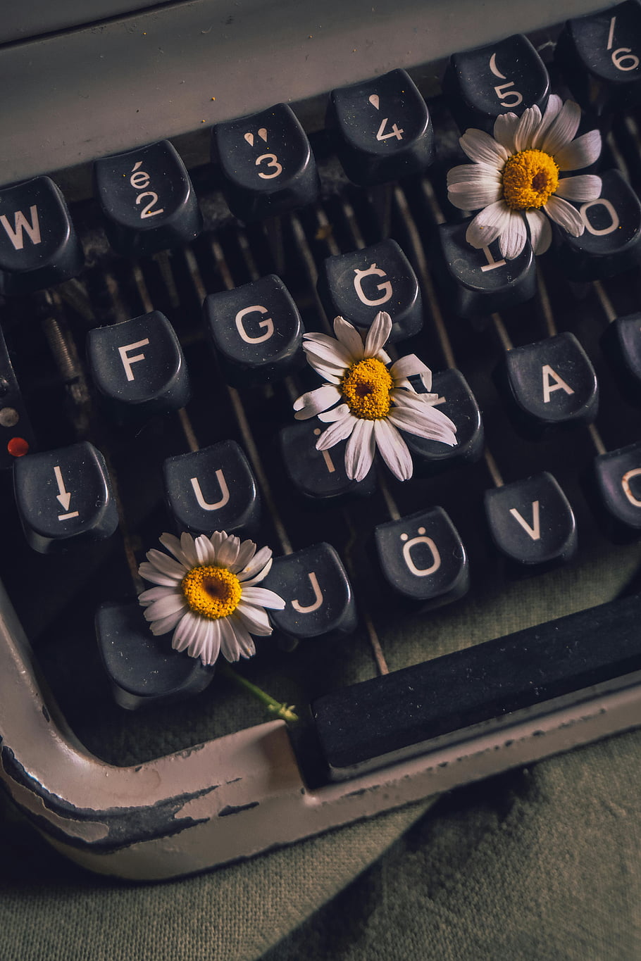 retro typewriter, vintage typewriter, daisies, close-up, artistic, retro charm, creativity, flowers, typewriter keys, vintage charm, artistic photography