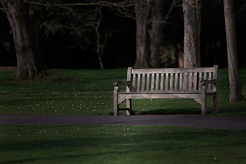 bench, park, silence, nature, seat, darkness, relaxation, peace Of Mind, meeting, wood, summer