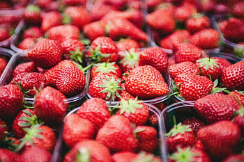 des fraises, contenants en plastique transparent, fraises rouges dynamiques, fruit frais, fruit sain, conteneurs de fraises, fraises rouges, fraises fraiches, fraises saines, affichage aux fraises, contenants de fraises en plastique