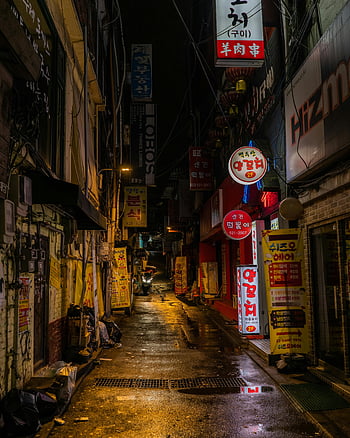 Seul sokakları, gece sokağı, parlak tabela, dar sokak, şehir gece hayatı, boş sokak, Kore tabelası, Kentsel Gece Sahnesi, ıslak kaldırım, ışıklı tabelalar, Koreli sokak