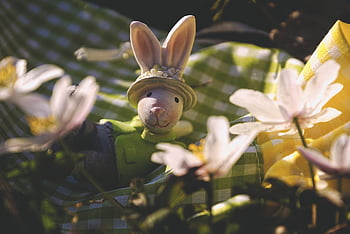 easter, nature, easter Bunny, flower Wallpaper, decoration, flowers, beautiful Flowers, spring, flower Background, hare, bunny