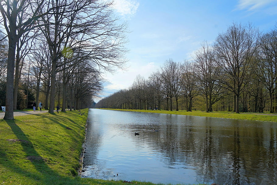 park, jezero, stromy, odraz, voda, Příroda, vodní odraz, kassel