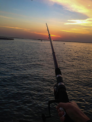 penangkapan ikan, matahari terbenam, laut yang tenang, langit yang cerah, orang memancing, memancing di laut, matahari terbenam memancing, tongkat pancing, aktivitas di luar ruangan, fotografi alam, adegan yang tenang