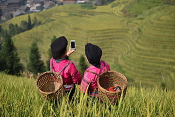 donne, Cina, Minoranza Yao, Donne di minoranza, Guilin, Longji, terrazze di riso longji, riso, autunno, Usa il telefono, villaggio