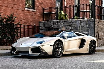 White Lamborghini, parked, city street, Atlanta, luxury design, elegant sports car, white sports car, Lamborghini Aventador, urban setting, high-end vehicle, luxury car