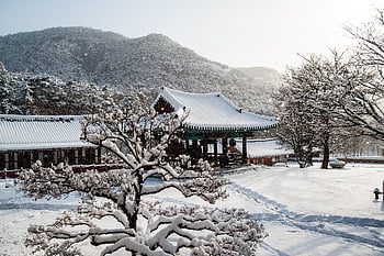 temple, korea, winter, snow, landscape, section, buddhism, tourism, travel, mono, nature