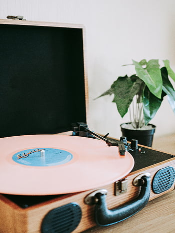 vaaleanpunainen vinyylilevy, vintage -levysoittimen, levysoitin, huonekasvi, lähikuva, retro, musiikki, audio-, sisusta, sisustus, vaaleanpunainen albumi