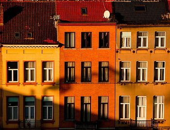 huse, skygger, arkitektur, bygninger, vinduer, lys, sollys, dagslys, udendørs, gulve, lejlighed hus
