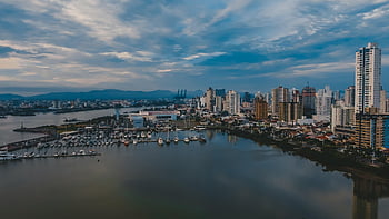 city, port, boats, marina, harbor, reflection, water, bay, buildings, skyscrapers, downtown