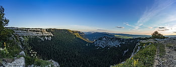 forest, trees, hiking, nature, mountains, outlook, abyss, mystical
