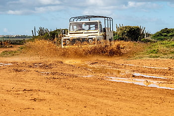 fango, camionetta, safari, Curacao, fangoso, strada sterrata, fuori strada, divertimento