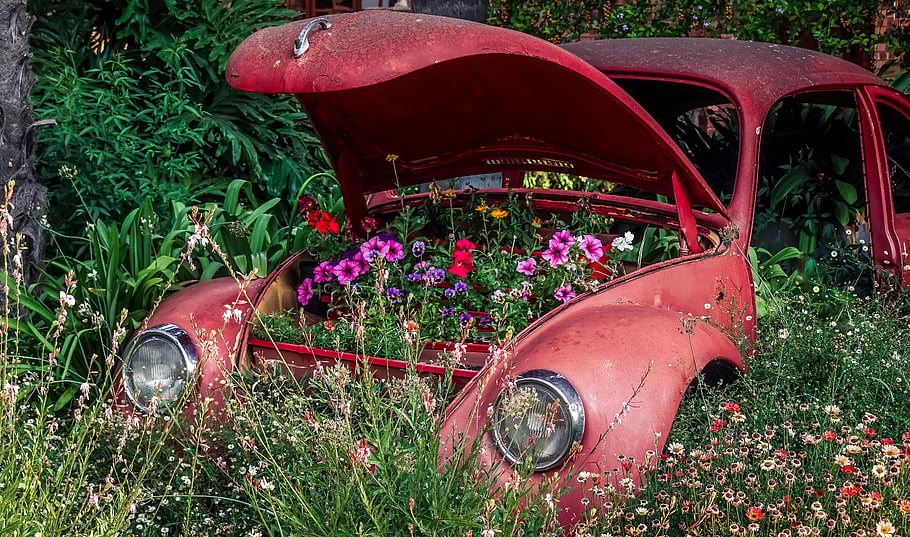 Květiny vyrůstající z auta, Vintage Volkswagen Beetle, rezavé auto, barevné květy, svěží zahrada, venkovní umění, Kreativní displej, opuštěné auto, zahradní dekorace, Unikátní umění, květinové umění