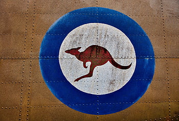 kangaroo, air Force, logo, roundel, military, royal Australian Air Force, australia