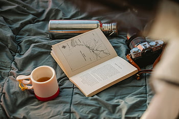 book, illustration, mug of tea, creased textile, camping scene, camera, thermos, fabric, outdoor reading, cozy setup, travel essentials