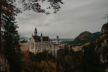 Neuschwanstein Castle, Bavaria, Germany, autumn trees, picturesque architecture, castle, landscape, fall foliage, European castle, scenic view, mountains
