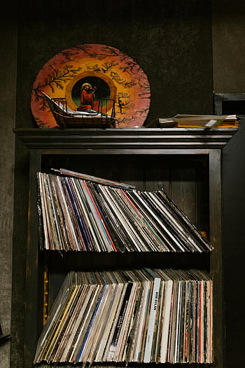 dischi in vinile, scaffali in legno, collezione vintage, appassionati di musica, ben organizzato, collezione di dischi, album in vinile, archiviazione musicale, musica retrò, Collezione di album, Scaffale da record