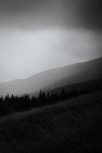 fotografie ve stupních šedi, stromy na hoře, Černý a bílý, Moody Mountain Landscape, silueta stromy, horské scenérie, silueta lesa, Atmosférická krajina, fotografování přírody, Monochromatický obrázek, venkovní scénu