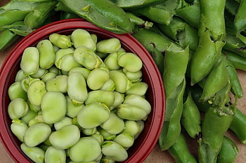broad Beans, beans, food, vegetables, fresh, healthy, green, nature, organic, pod, plant