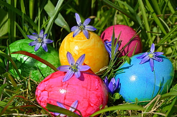 easter, multicoloured, easter Eggs, eggs, spring, colored, easter Egg, easter Festival, colorful, coloured, easter Theme