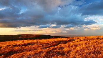 nature, travel, exploration, outdoors, hill, meadow, mountains, scenery