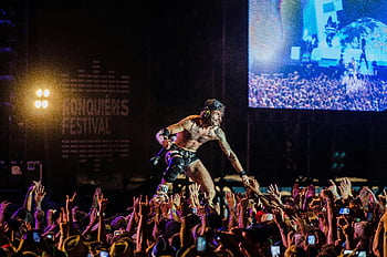 Festival de Ronquières, actuación en vivo, escenario, músico, energía de la multitud, concierto dinámico, Ambiente de festival, concierto al aire libre, Festival de Música, ejecutante, compromiso de la audiencia