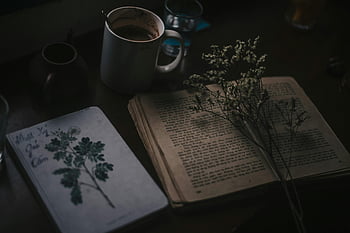 white flowers, old opened book, vintage book, coffee mug, dried flowers, dark wooden table, moody still life, book and flowers, coffee and book, floral still life, dark table setting