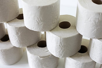 toilet Paper, stack, hygiene, toilet, role, loo, paper, wc, corona, hamster Purchases