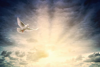 light, peace, hope, pentecost, sunbeams, clouds, bright, day, landscape, heaven, trust