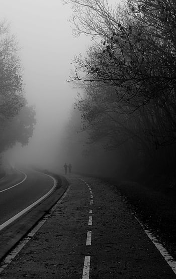 rutier în ceață, cea mai slabă cale, siluete de oameni, ceaţă, copaci goi, misterioasa atmosfera, Atmosfera de ceață, drum înconjurat de ceață, atmosferă ceață, ceață cețoasă, misterioasă