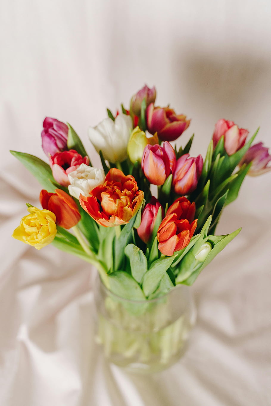 tulipány, skleněná váza, barevné kytice, jarní květ, vnitřní květiny, Vibrující tulipány, květinové aranžmá, jarní květiny, Vnitřní dekorace, Tulipán kytice, skleněná nádoba