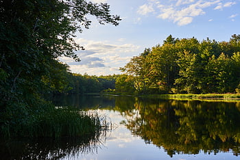 jezero, odraz, krajina, řeka, pobřeží, les, stromy, nebe, mraky, voda, zrcadlo