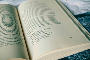 otevřená kniha, viditelný text, Útulné pozadí, Témata vzdělávání, detail, stránky knihy, čtení, literatura, studie, učení se, vzdělání