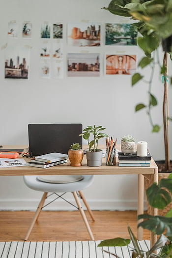 domácí kancelář, vzdálené práce, laptop, dřevěný stůl, rostlin, papírnictví, moderní nastavení, vnitřní pracovní prostor, útulné prostředí, Organizace stolu, kancelářská výzdoba