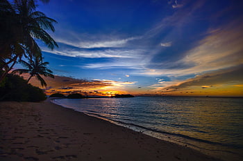 le coucher du soleil, rivage, atoll de laamu, Maldives, tranquillité, plage, palmiers, océan, ciel, horizon, silhouette