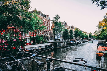 Amsterdam canal, historic buildings, bicycles, sunset, charming view, bridge, parked bicycles, canal scene, cityscape, waterfront, urban scenery