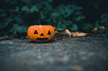 Haloweenská dýně, podlaha, malé dýně, podzim téma, halloween téma, vyřezávané dýně, podzimní listí, Venkovní dýně, sezónní dekorace, Slavnostní dýně, mletá dýně