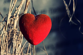 cuore, amore, ornamento, tenero, mistico, simbolo, simbolico, morbido, felpa, creato il 28-02-21, ricordo