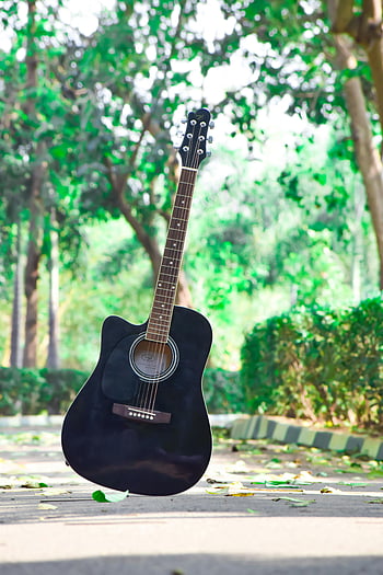 siyah akustik gitar, açık hava gitar, güneşli park, canlı ayar, siyah gitar, akustik gitar, park ayarı, açık hava müzik, Doğada gitar, güneşli gün, canlı park